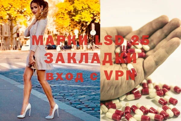 винт Гусев