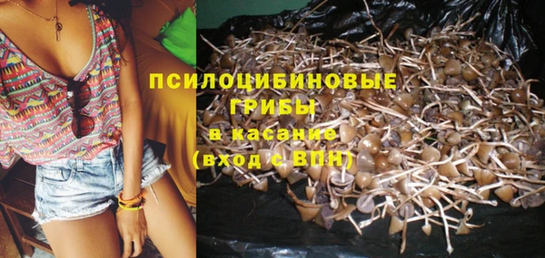 винт Гусев