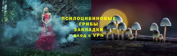 винт Гусев