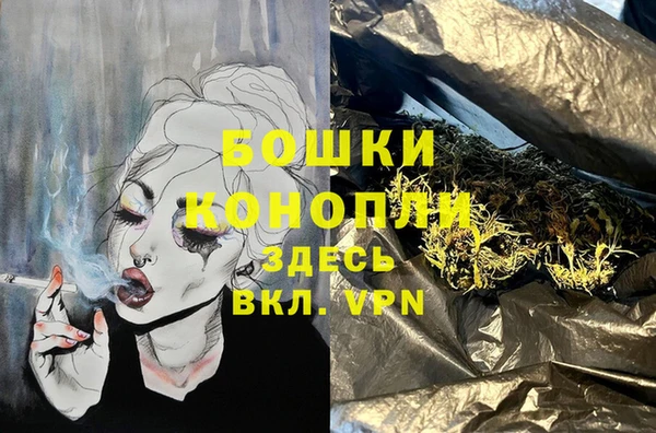 винт Гусев