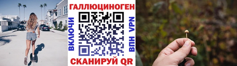 купить  цена  KRAKEN ONION  Галлюциногенные грибы Psilocybe  Заринск 
